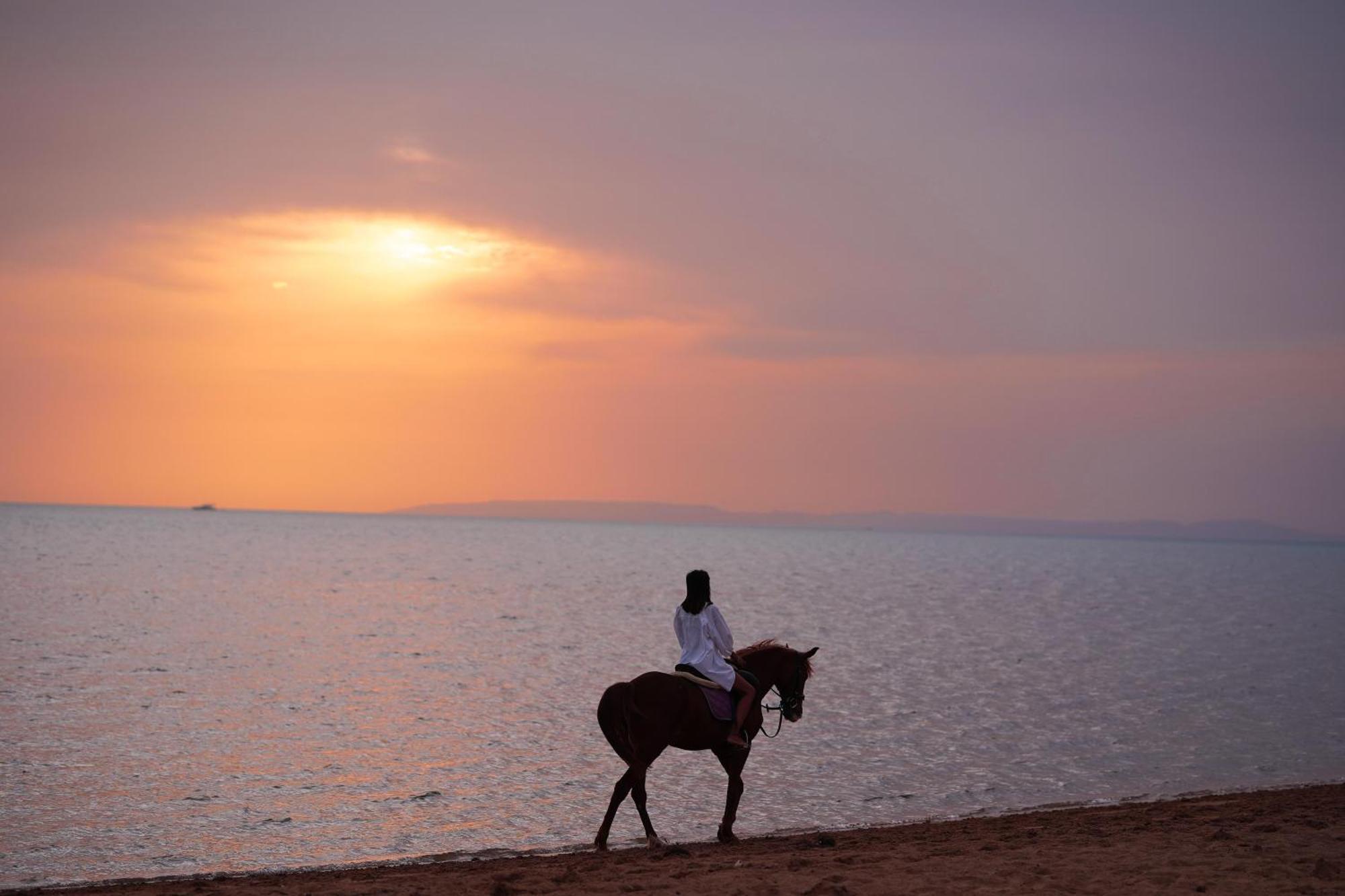 Club Paradisio El Gouna Red Sea フルガダ エクステリア 写真